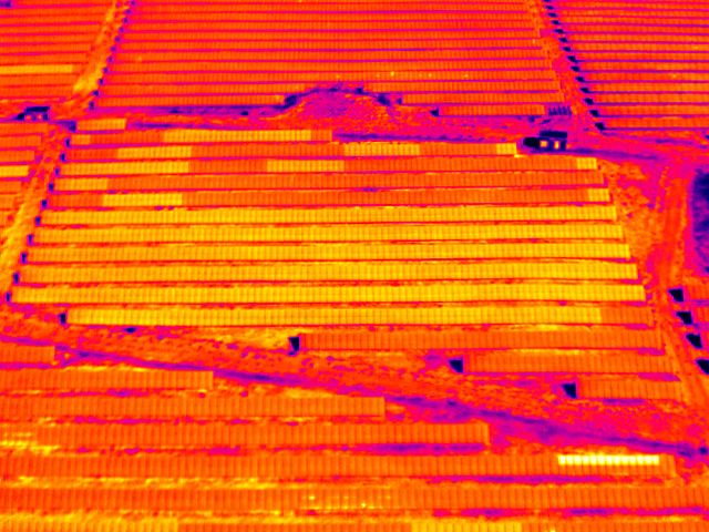 Thermografische Aufnahme einer PV-Freiflächenanlage mit mehreren Strings im Leerlauf