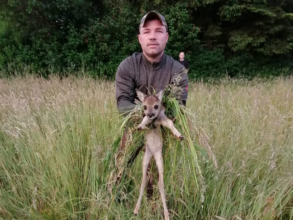 Jäger sichert ein Rehkitz aus einer Wiese während einer Rehkitzsuche vor der Mahd