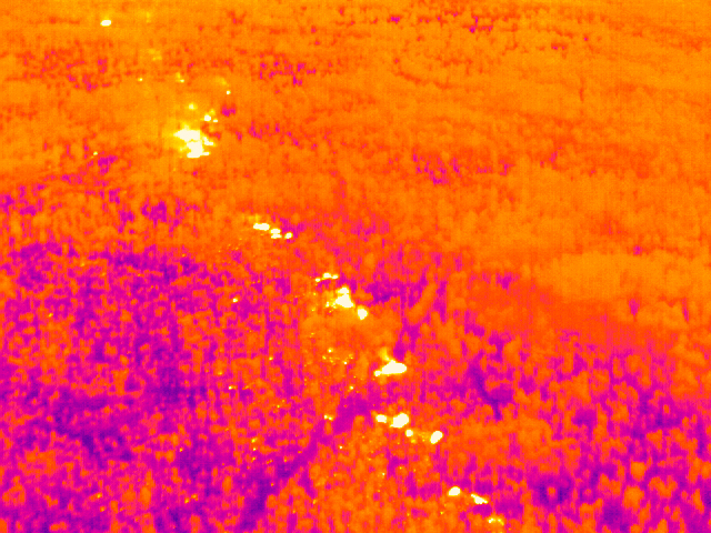 Wärmebildaufnahme eines Waldbrandes bei Schwepnitz in Sachsen – Drohnen-Thermografie zur Lokalisierung aktiver Glutnester