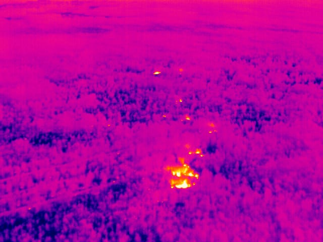 Wärmebildaufnahme eines Waldbrandes in der Königsbrücker Heide 2018 aus der Drohne