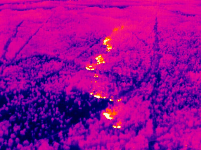 Thermografische Drohnenaufnahme eines Waldbrandes mit sichtbarer Ausbreitungsstruktur