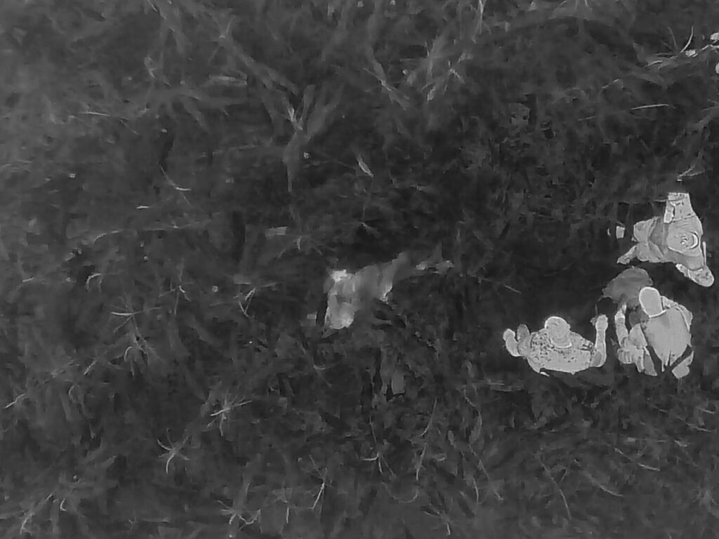 Wärmebildaufnahme eines Wildschweinkadavers und eines Bergungsteams bei einem ASP-Drohneneinsatz